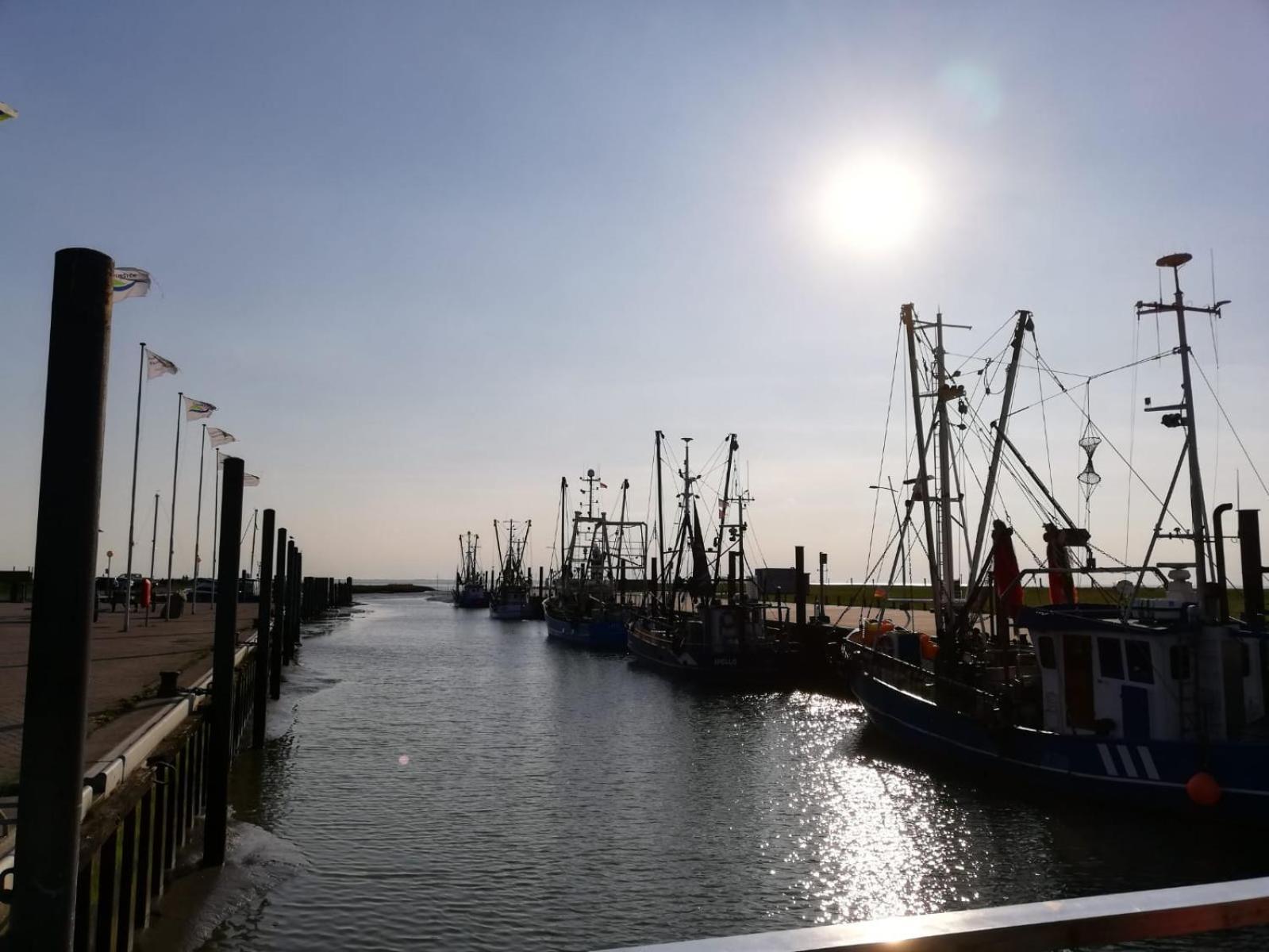 Ferienwohnung Alea, Zentrumsnah Bremerhaven Esterno foto