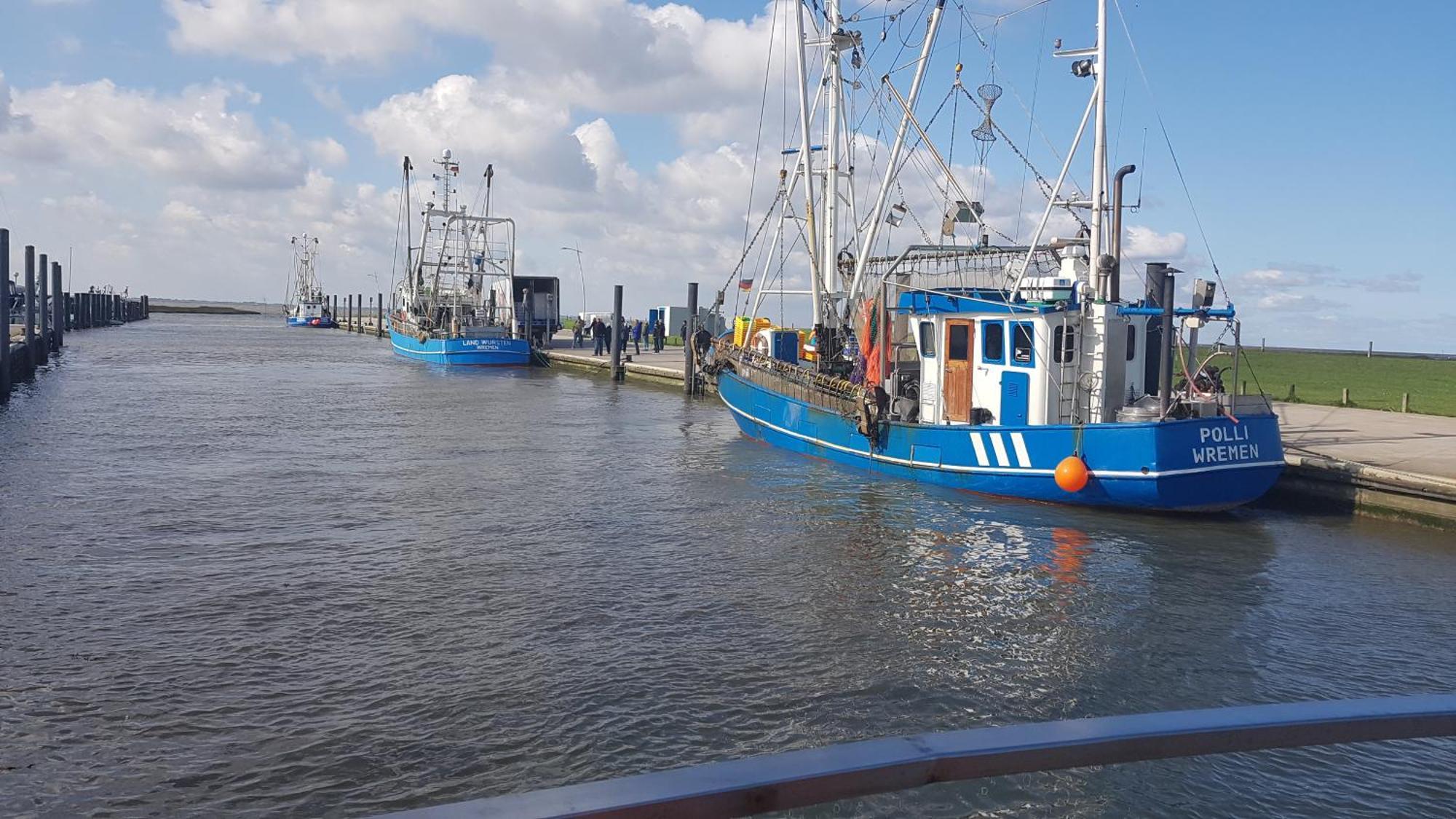 Ferienwohnung Alea, Zentrumsnah Bremerhaven Esterno foto