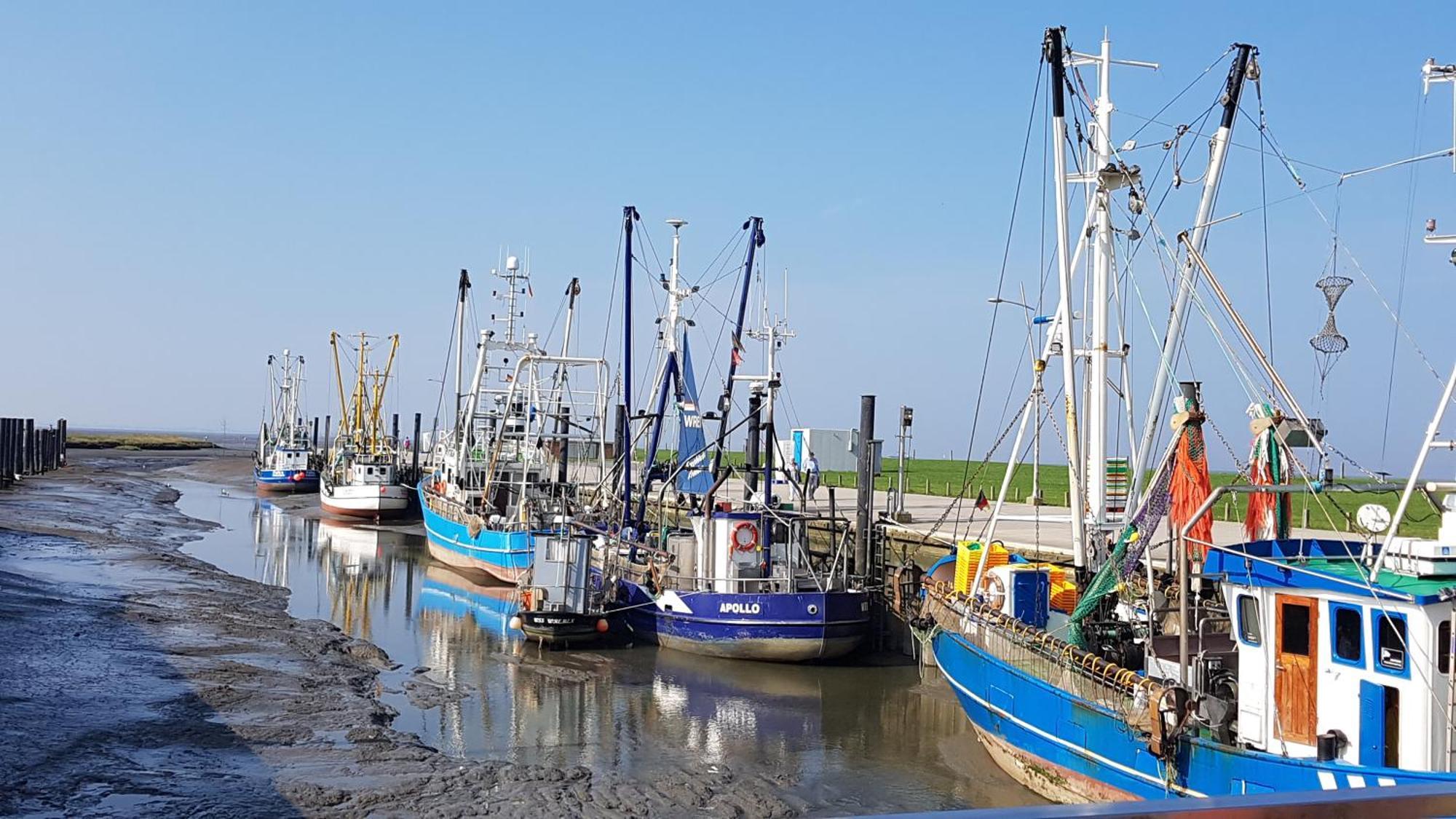 Ferienwohnung Alea, Zentrumsnah Bremerhaven Esterno foto